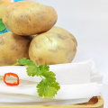 Wholesale White Color Authentic Hot Pot Dry Pure Sweet Potato Wide Vermicelli Noodle